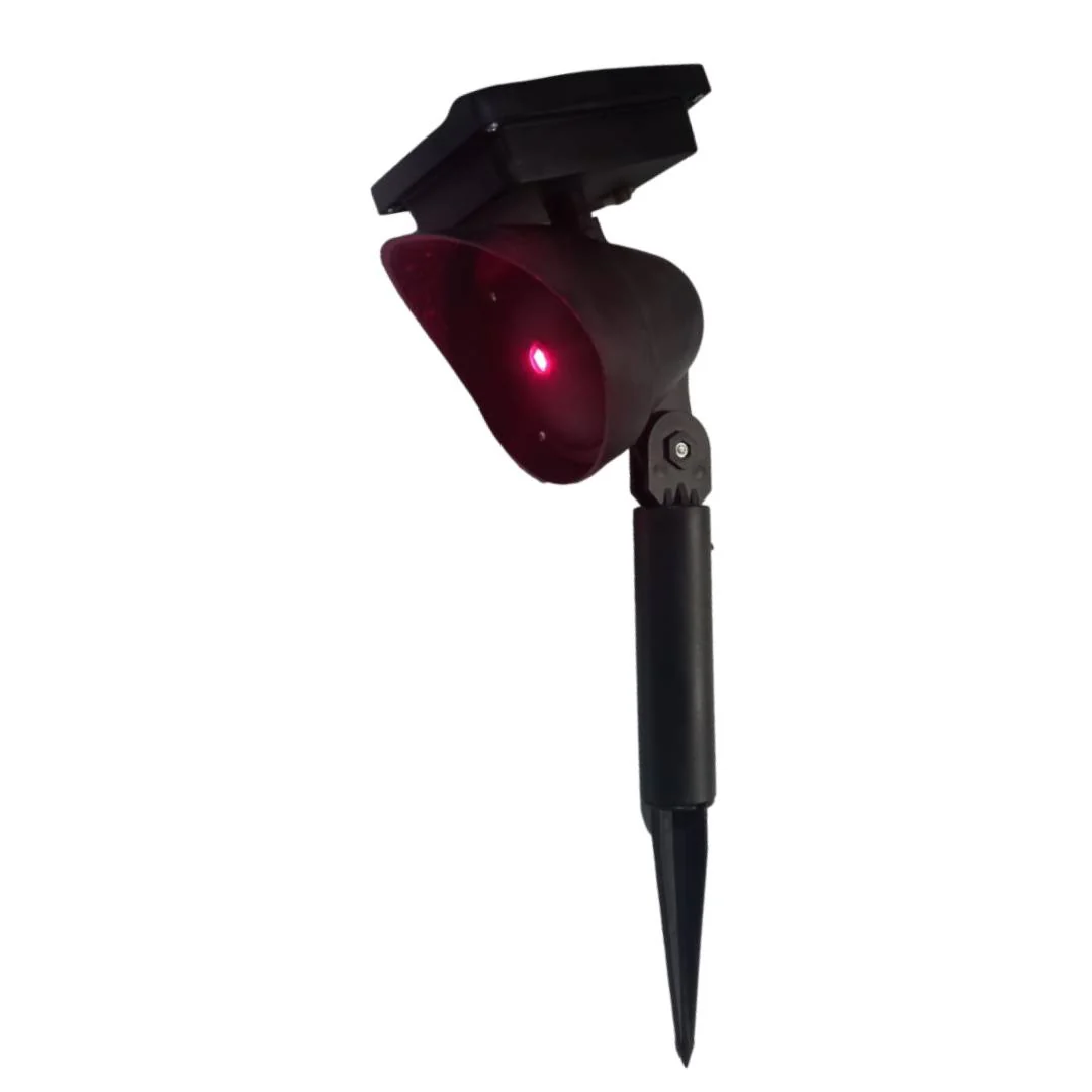 תמונה ממוזערת 2